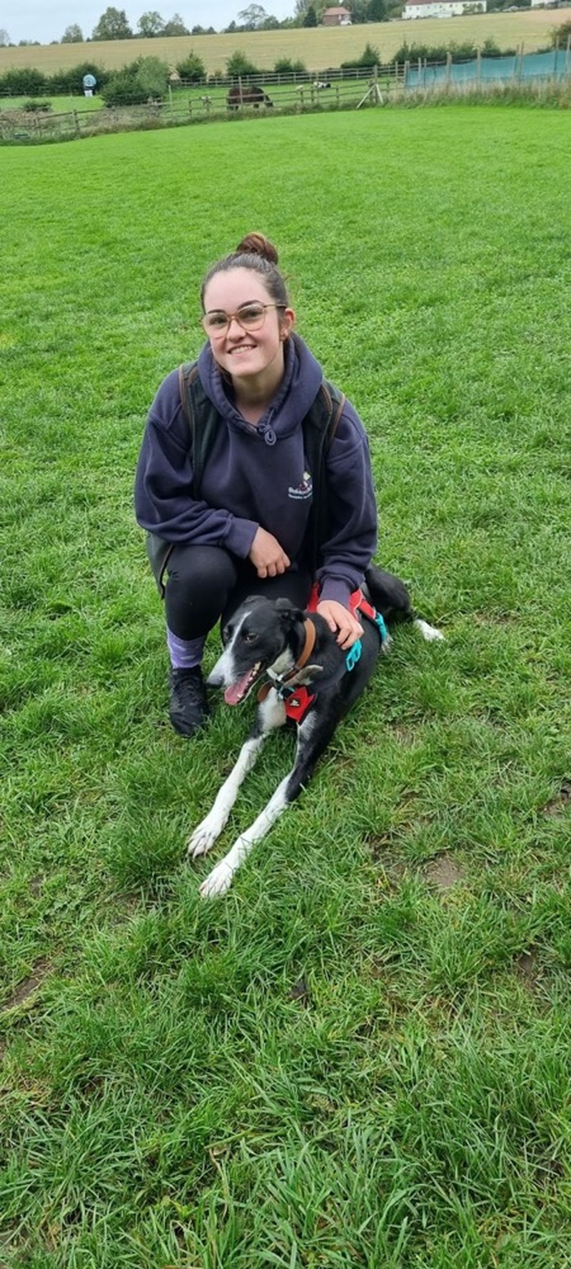 Other image for Remarkable recovery for ‘barely alive’ dog